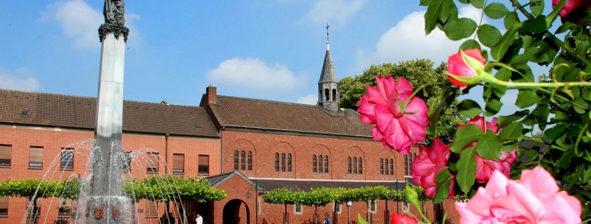 Rosen im Vordergrund und der Brunnen am St. Klara Platz im Hintergrund.