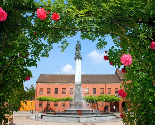 Rosenbogen vor dem Brunnen am St. Klara Platz.