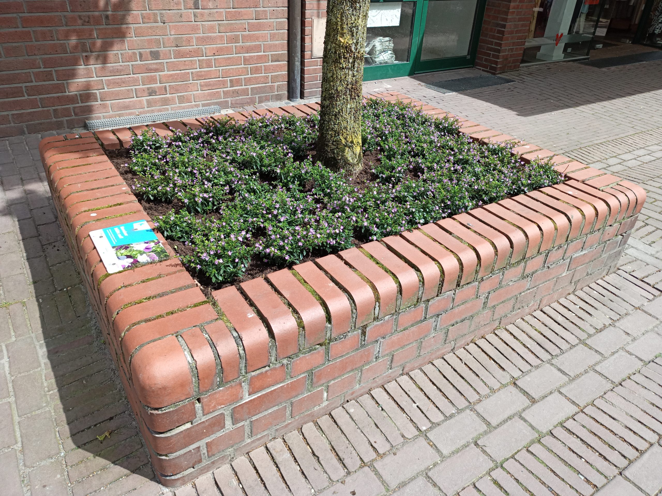 Frhlingserwachen in Kevelaer  Kevelaer Marketing