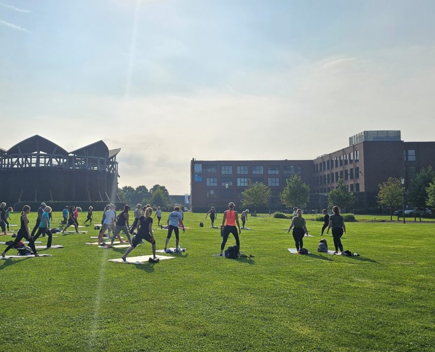 Yoga beim Vitalprogramm