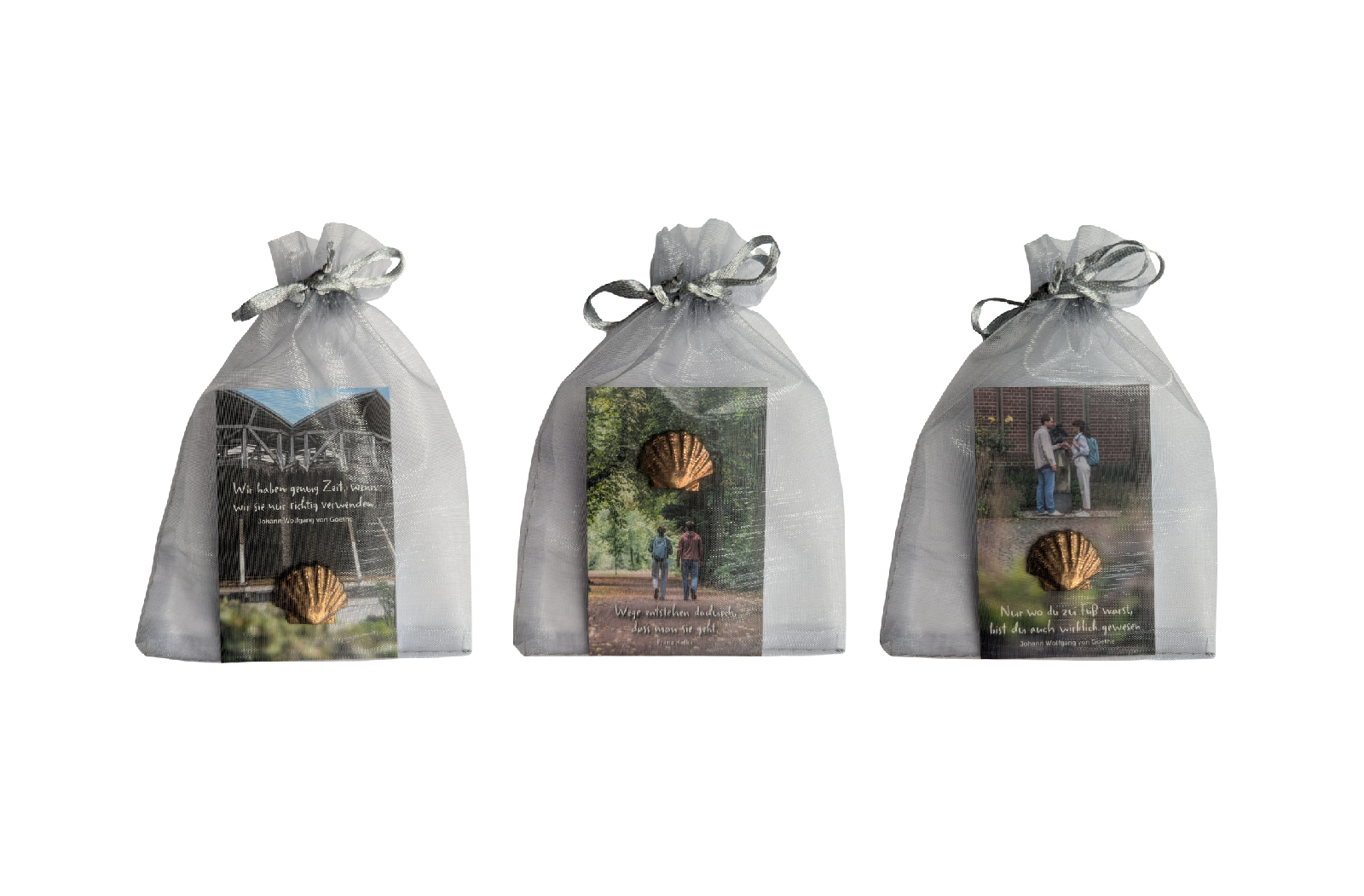 Bronzemuschel – Bild 5