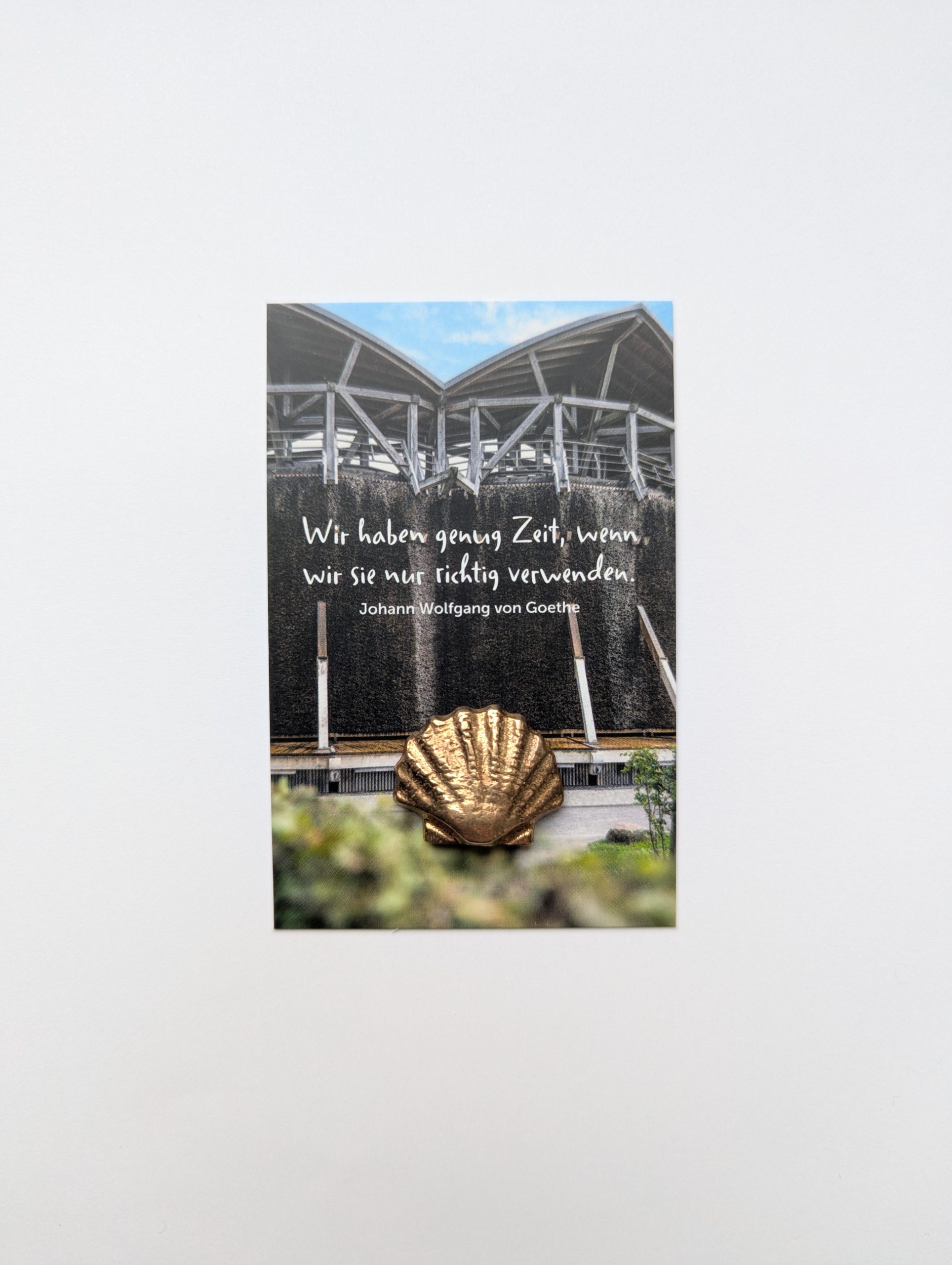 Bronzemuschel – Bild 4