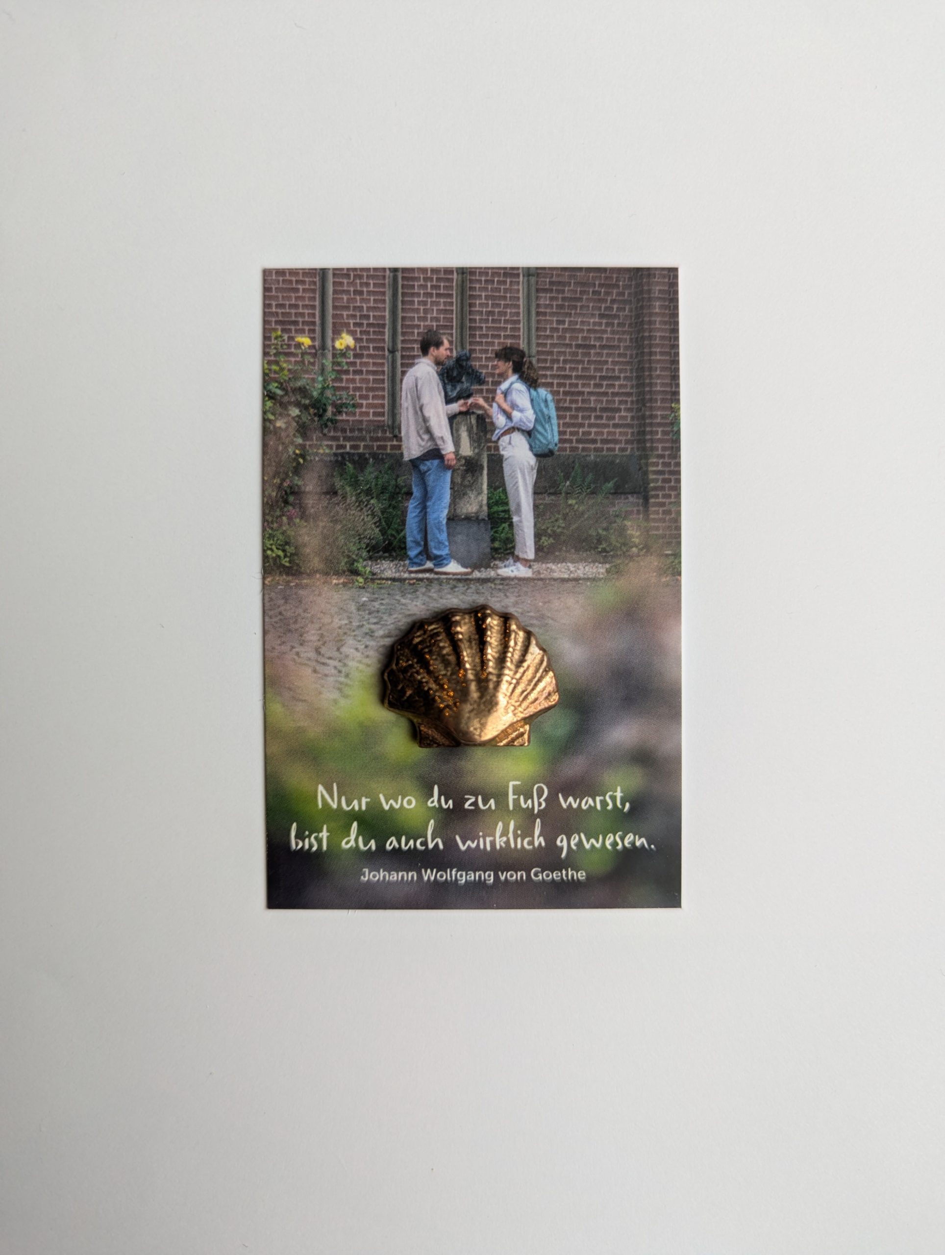 Bronzemuschel – Bild 3