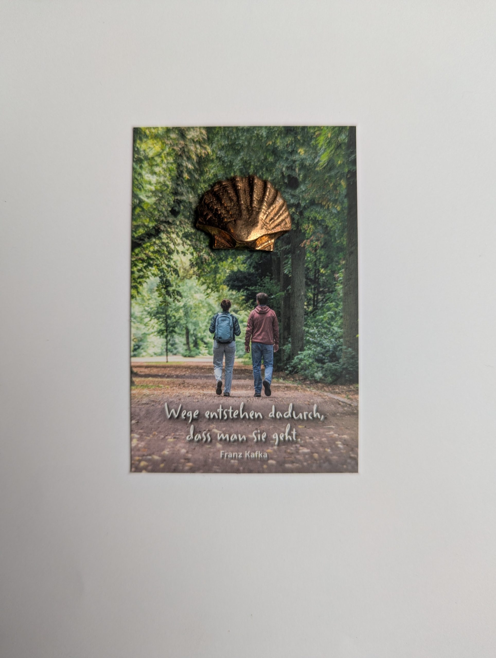 Bronzemuschel – Bild 2